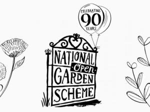 90-years-ngs-M241955