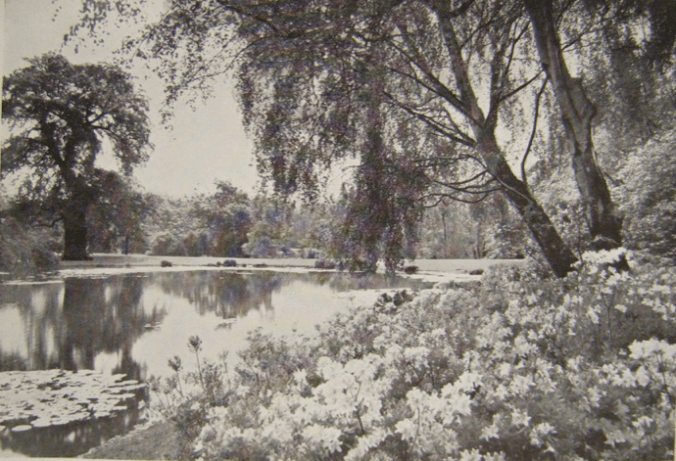 Screen Shot 2017-04-04 at 10.17.46.png