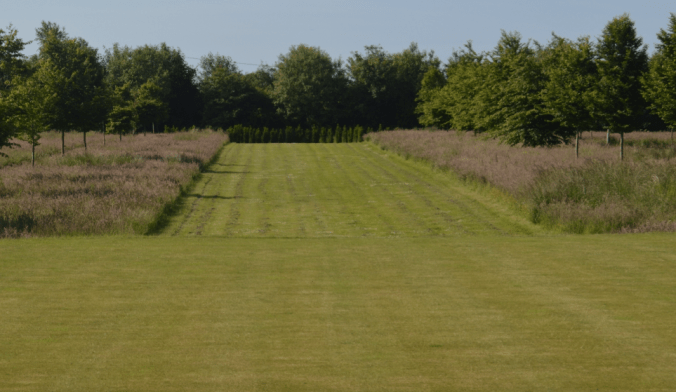 Screen Shot 2017-04-23 at 20.49.27.png