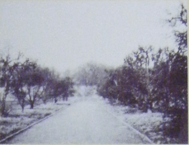 Screen Shot 2017-10-20 at 08.17.16.png