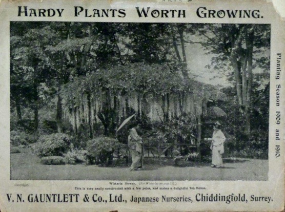 Screen Shot 2017-11-13 at 12.54.58.jpg